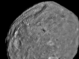 Asteroid Vesta, one of the largest bodies in the asteroid belt