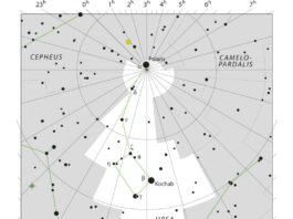 IAU chart of Ursa Minor showing the Little Dipper pattern with Polaris at the handle tip
