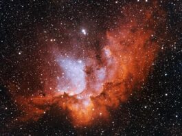 The Wizard Nebula (NGC 7380), a star-forming emission nebula in Cepheus, imaged in narrowband